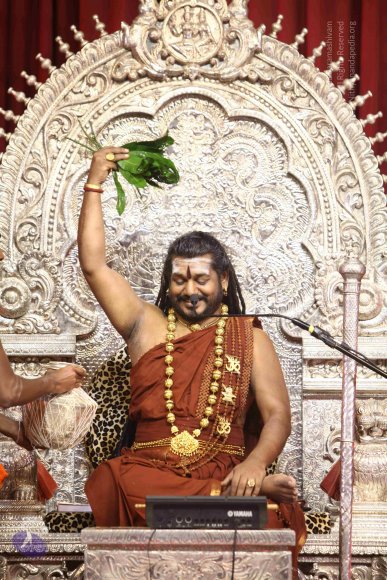 20171119_Photo_1041_IMG_5768_CMP_WM