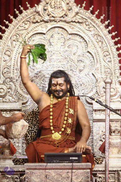 20171119_Photo_1043_IMG_5770_CMP_WM