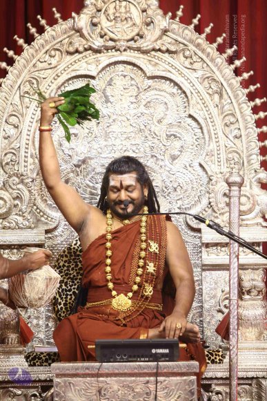 20171119_Photo_1044_IMG_5771_CMP_WM