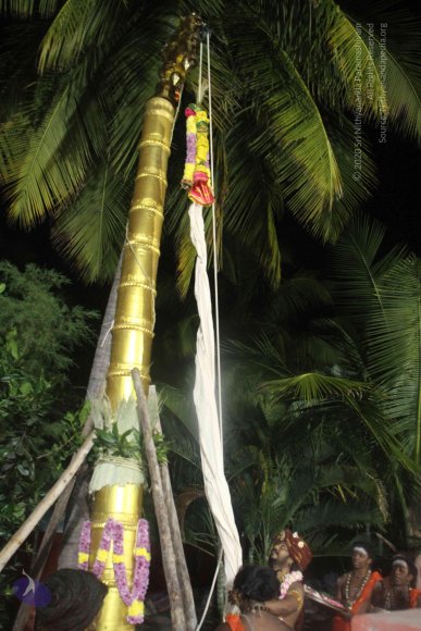 20171123_Photo_1054_IMG_6463_CMP_WM