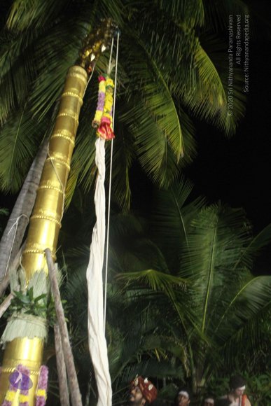 20171123_Photo_1059_IMG_6468_CMP_WM