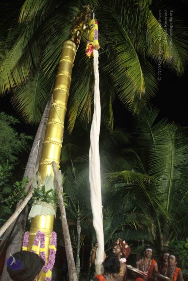 20171123_Photo_1074_IMG_6485_CMP_WM