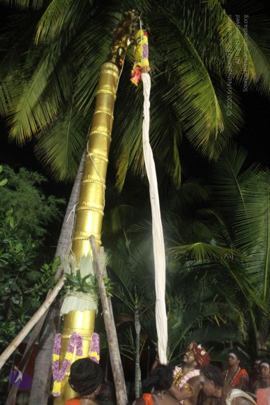 20171123_Photo_1076_IMG_6487_CMP_WM