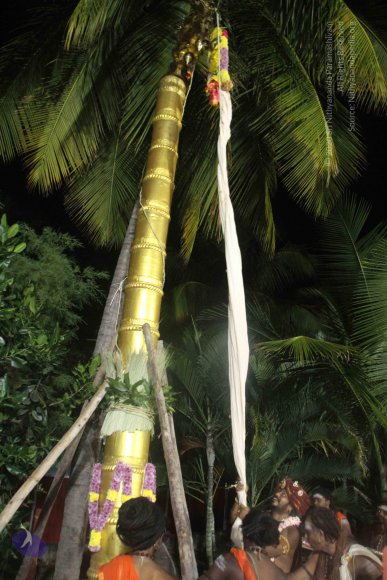 20171123_Photo_1077_IMG_6488_CMP_WM