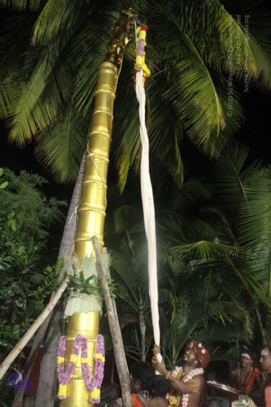 20171123_Photo_1079_IMG_6490_CMP_WM