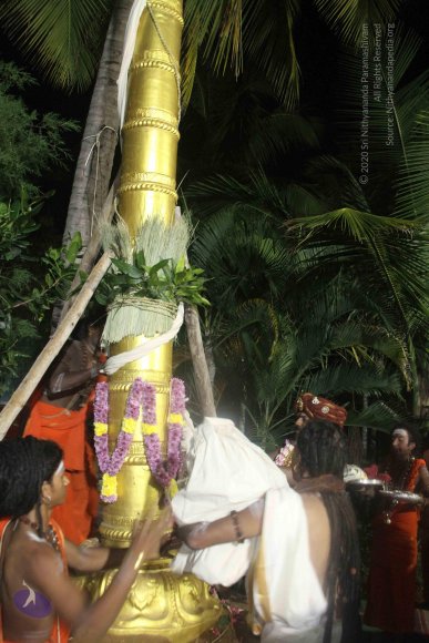 20171123_Photo_1082_IMG_6502_CMP_WM