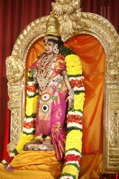 20171123_Photo_1004_IMG_7714_CMP_WM