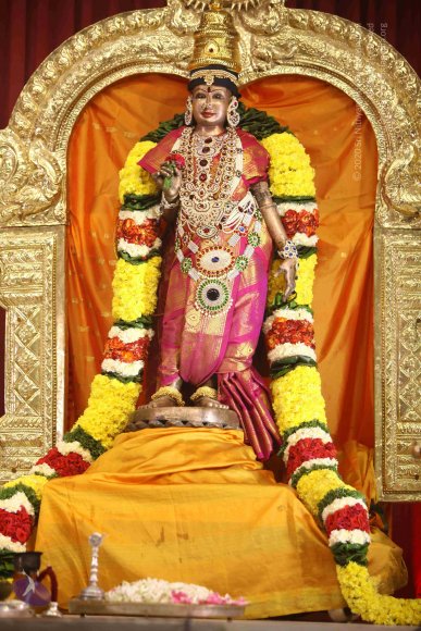 20171123_Photo_1015_IMG_7734_CMP_WM