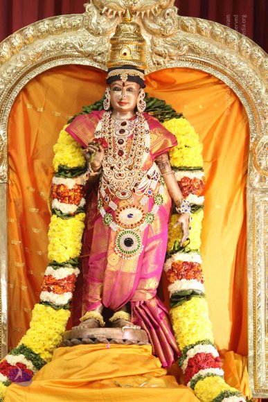 20171123_Photo_1005_IMG_8282_CMP_WM