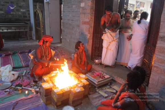 20171126_Photo_1013_IMG_0025_CMP_WM