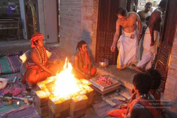 20171126_Photo_1014_IMG_0026_CMP_WM