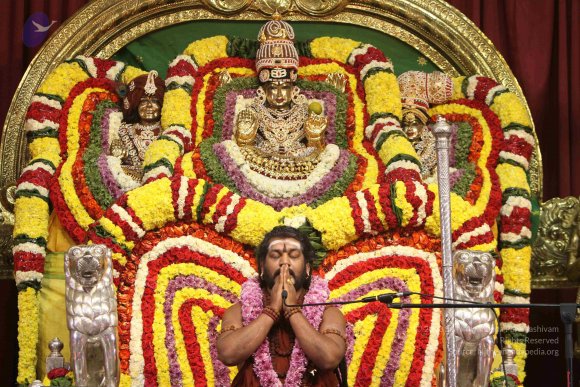 20171126_Photo_1060_IMG_9763_CMP_WM