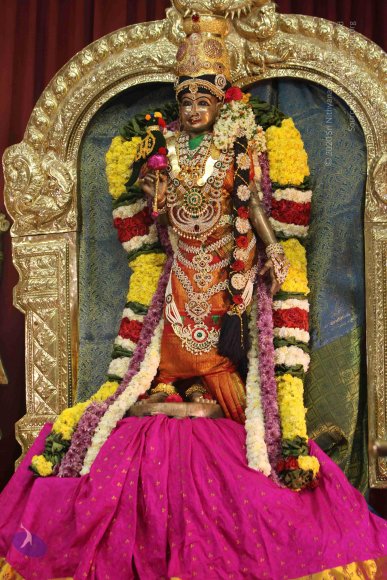 20171126_Photo_1024_IMG_9595_CMP_WM