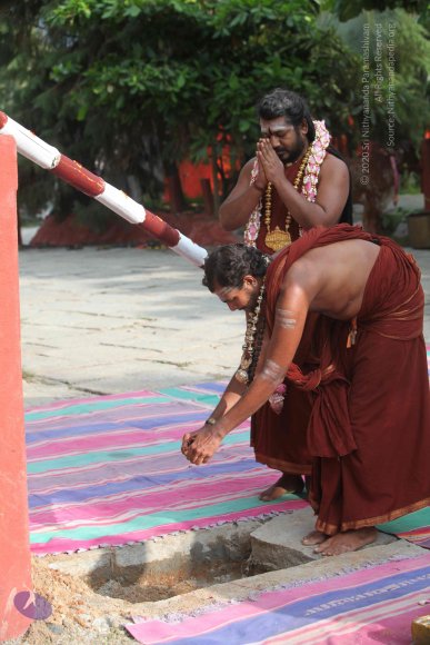 3-PANDA-KAAL_Photo_1008_IMG_3381_CMP_WM