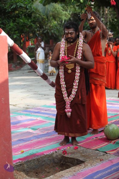 3-PANDA-KAAL_Photo_1024_IMG_3402_CMP_WM