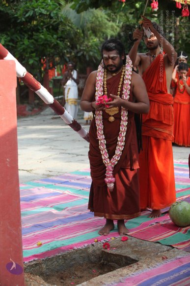 3-PANDA-KAAL_Photo_1026_IMG_3404_CMP_WM