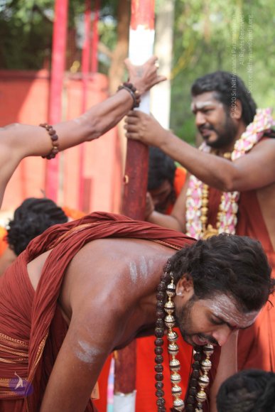 3-PANDA-KAAL_Photo_1039_IMG_3420_CMP_WM