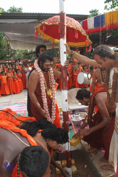 3-PANDA-KAAL_Photo_1044_IMG_3437_CMP_WM