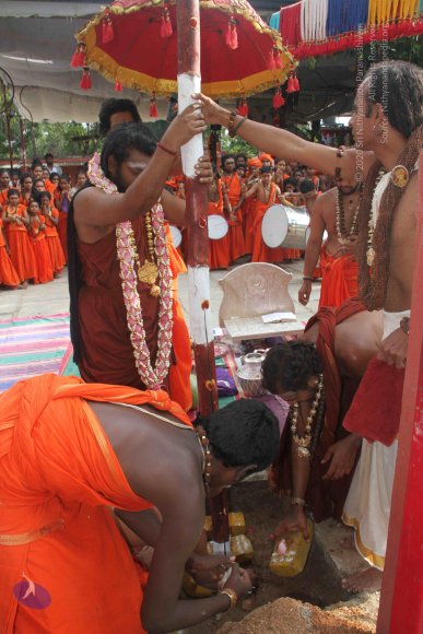 3-PANDA-KAAL_Photo_1047_IMG_3440_CMP_WM