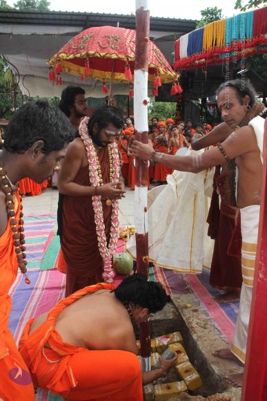 3-PANDA-KAAL_Photo_1052_IMG_3444_CMP_WM