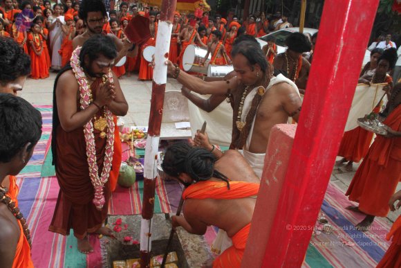 3-PANDA-KAAL_Photo_1054_IMG_3446_CMP_WM