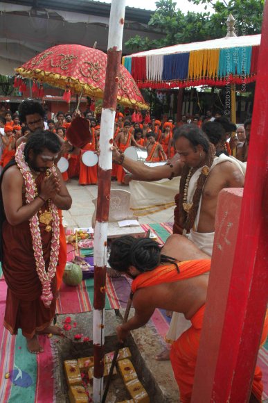 3-PANDA-KAAL_Photo_1055_IMG_3447_CMP_WM