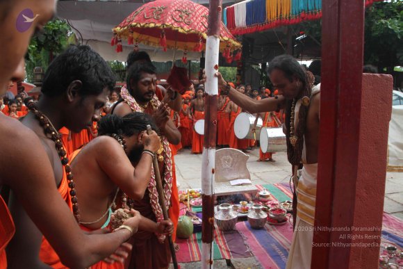 3-PANDA-KAAL_Photo_1057_IMG_3449_CMP_WM