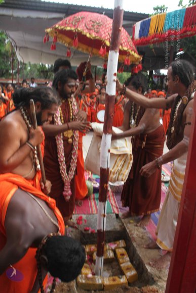 3-PANDA-KAAL_Photo_1059_IMG_3451_CMP_WM