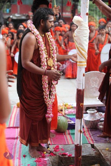 3-PANDA-KAAL_Photo_1070_IMG_3461_CMP_WM-2