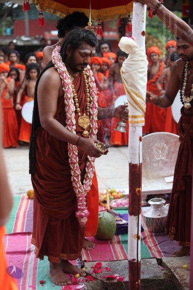 3-PANDA-KAAL_Photo_1072_IMG_3462_CMP_WM-2