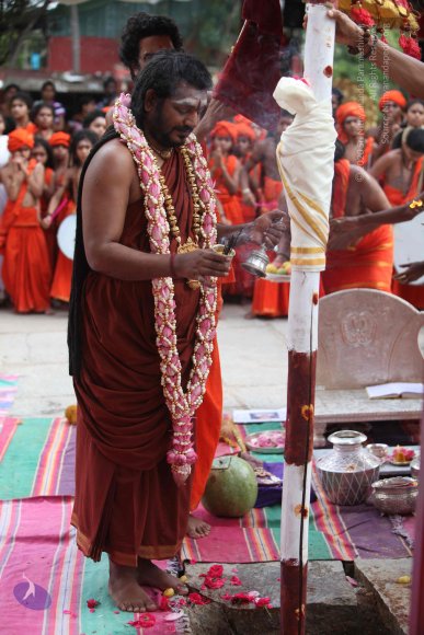 3-PANDA-KAAL_Photo_1083_IMG_3472_CMP_WM