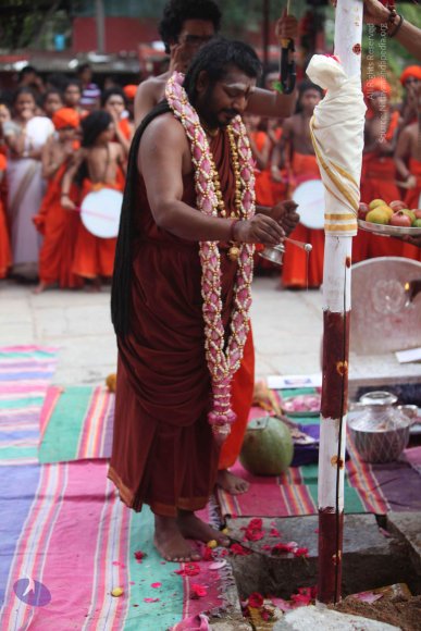 3-PANDA-KAAL_Photo_1096_IMG_3485_CMP_WM