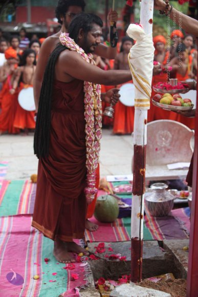 3-PANDA-KAAL_Photo_1100_IMG_3489_CMP_WM