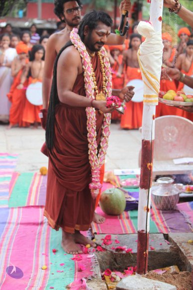 3-PANDA-KAAL_Photo_1102_IMG_3491_CMP_WM