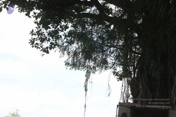 1-RAMNAGAR-VISIT_Photo_1013_IMG_4436_CMP_WM