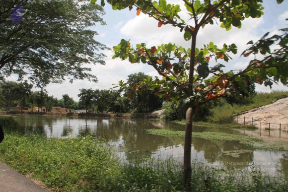 1-RAMNAGAR-VISIT_Photo_1032_IMG_4471_CMP_WM