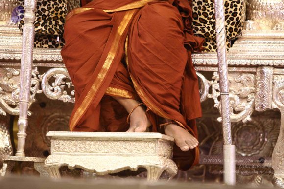 20171013_Photo_1323_IMG_7023_CMP_WM