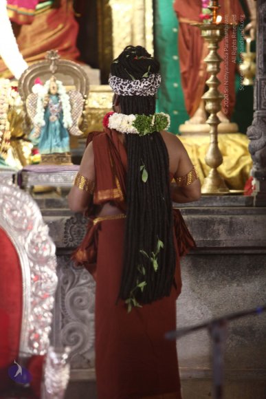 20170910_Photo_1008_IMG_8789_CMP_WM