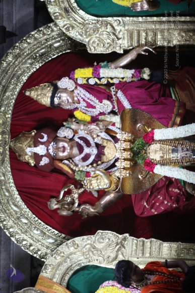 20170910_Photo_1036_IMG_8711_CMP_WM