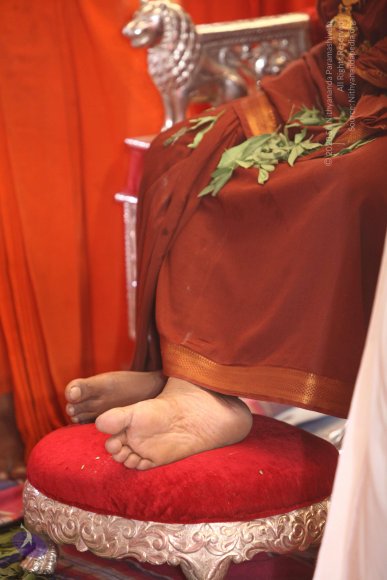 20170910_Photo_1103_IMG_8537_CMP_WM