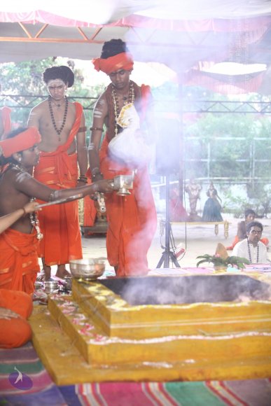 20170910_Photo_1105_IMG_8696_CMP_WM