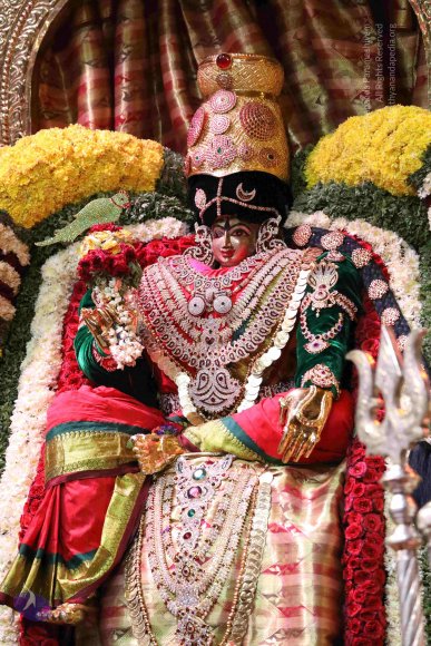 20180419_Photo_1014_7T7A0096_CMP_WM