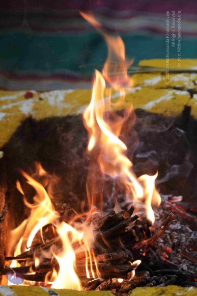 20180419_Photo_1031_7T7A9940_CMP_WM