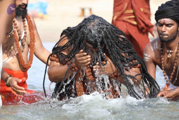 20180428_Photo_1005_7T7A1420_CMP_WM