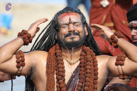 20180428_Photo_1007_7T7A1422_CMP_WM