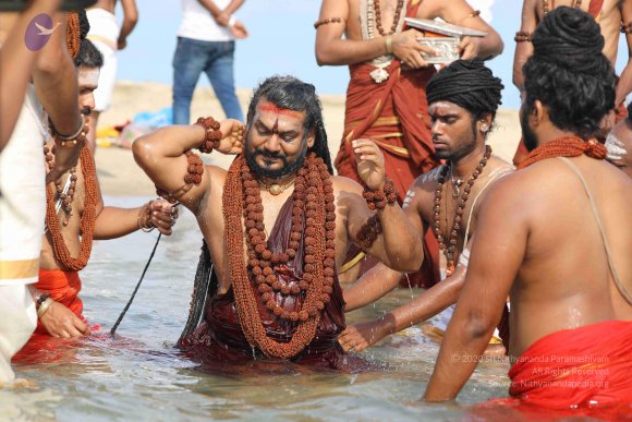 20180428_Photo_1008_7T7A1423_CMP_WM