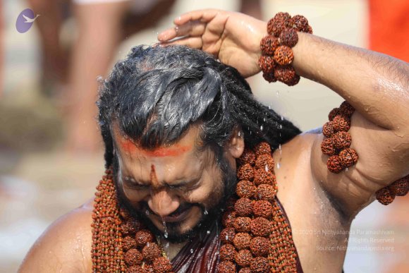 20180428_Photo_1013_7T7A1438_CMP_WM