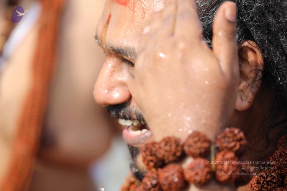 20180428_Photo_1015_7T7A1445_CMP_WM