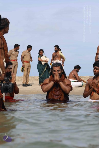 20180428_Photo_1016_7T7A1483_CMP_WM