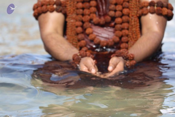 20180428_Photo_1020_7T7A1502_CMP_WM